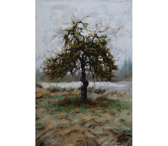 "Harlen's Apple Tree" - Carla Louise Paine